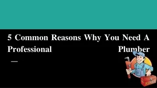 5 Common Reasons Why You Need A Professional Plumber