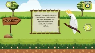 Learn ABC With Birds Name | Birds Preschool Learning App