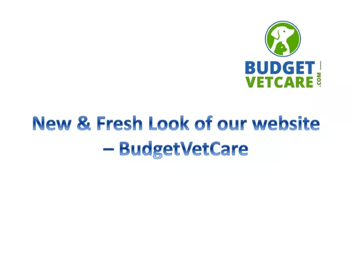 new fresh look of our website budgetvetcare
