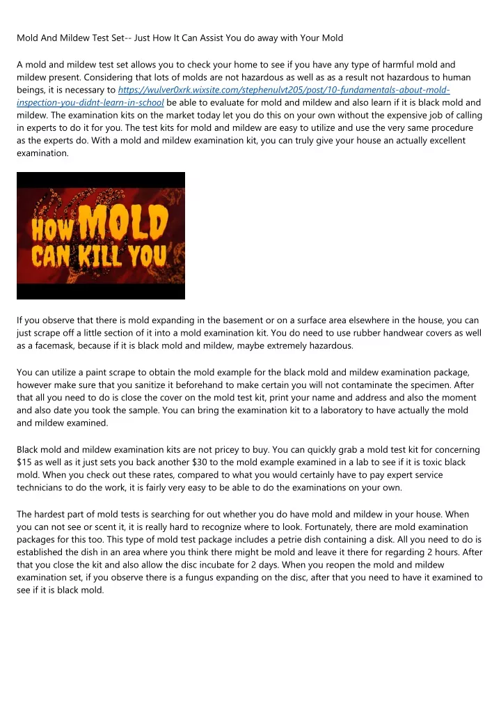 mold and mildew test set just how it can assist