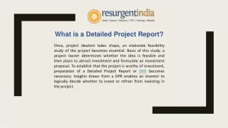 what is a detailed project report