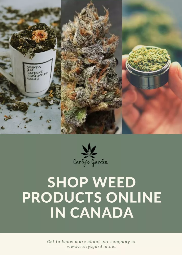 shop weed products online in canada