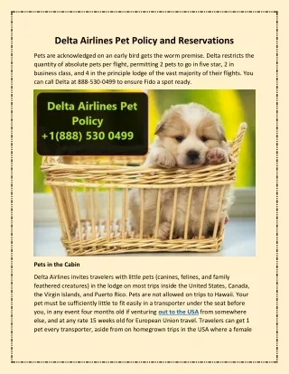 Delta Airlines Pet Policy and Reservations  1888 530 0499