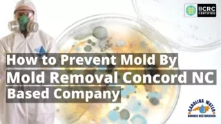 How to Prevent Mold by Mold Removal Concord NC Based Company