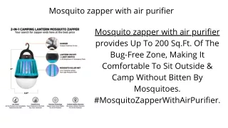 Mosquito zapper with air purifier