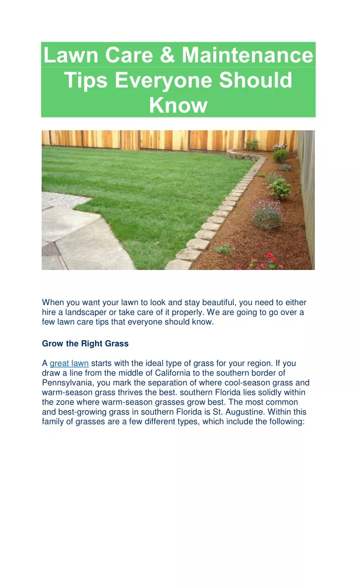lawn care maintenance tips everyone should know