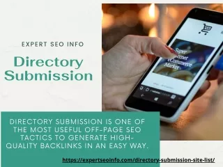 expert seo info directory submission