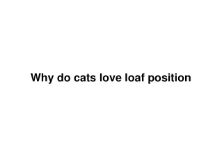 Why Do Cat Sit In Loaf Position?