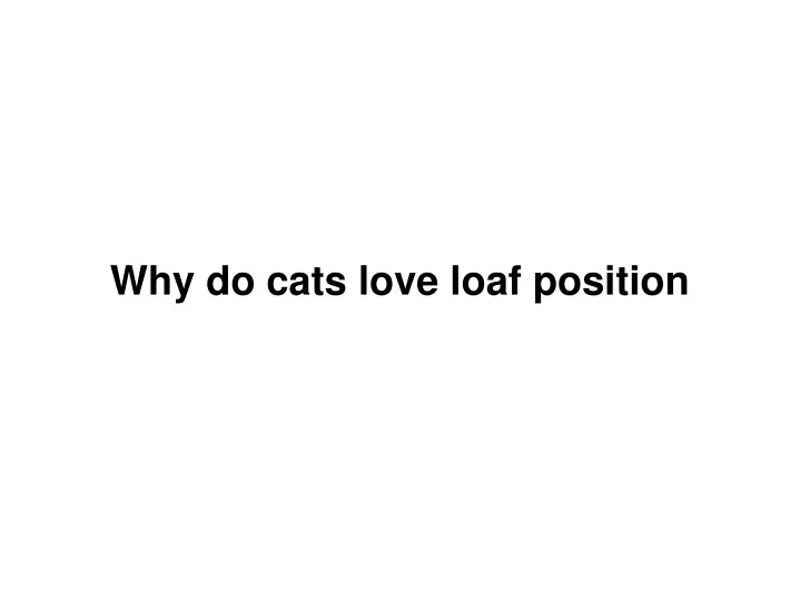 why do cats love loaf position