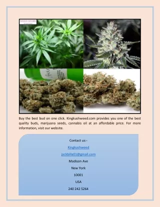 Bud for sale | Kingkushweed.com