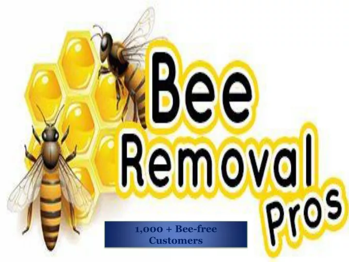 1 000 bee free customers