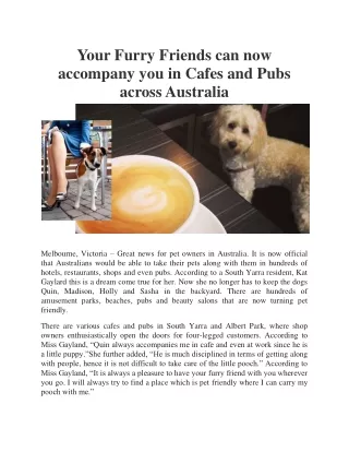 Your Furry Friends can now accompany you in Cafes and Pubs across Australia