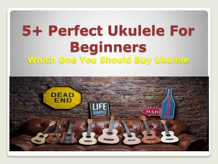 5 perfect ukulele for beginners which one you should buy ukulele