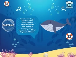Learn Sea World Animal Names | Sea Animal Game For Kids