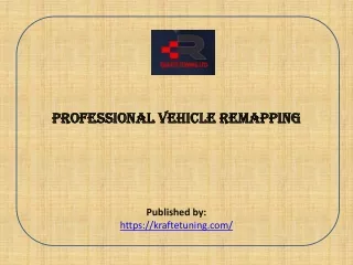 Professional Vehicle Remapping