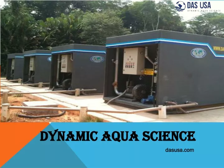 dynamic aqua science