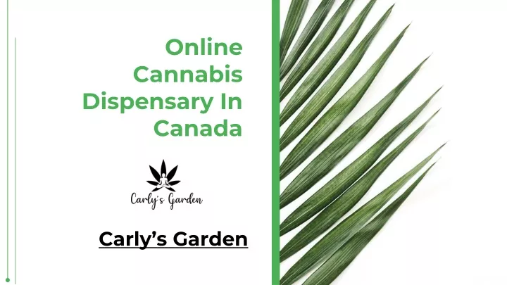 online cannabis dispensary in canada