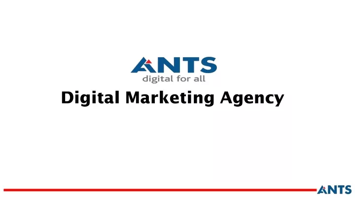 digital marketing agency