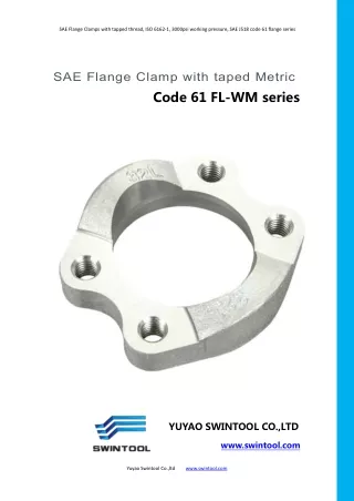 SAE code 61 FLANGE CLAMPS with metric tapped hole FL-WM series