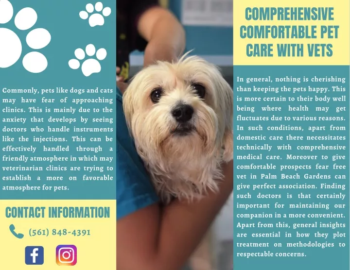 comprehensive comfortable pet care with vets
