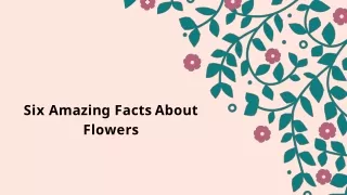 Send Flowers To Qatar online - AMR Flowers