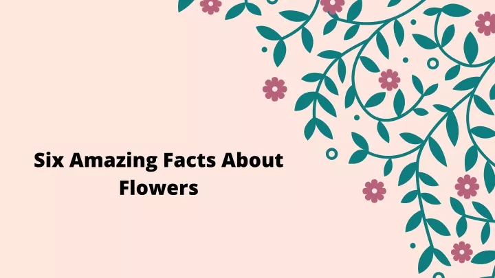 six amazing facts about flowers