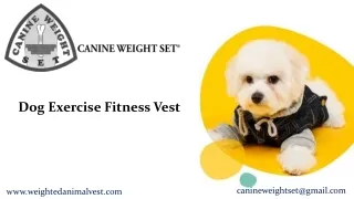 Dog Exercise Fitness Vest