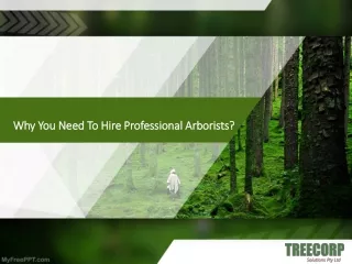 Why You Need To Hire Professional Arborists?