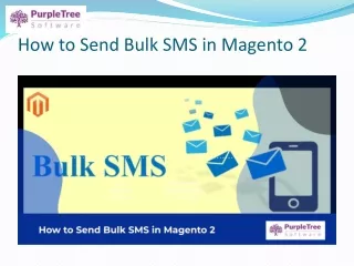 how to send bulk sms in magento 2