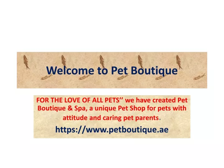 welcome to pet boutique