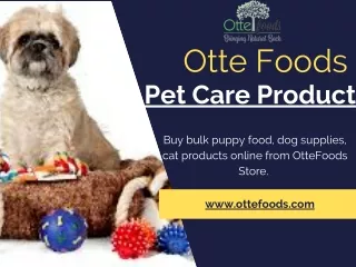 Buy Bulk Pet Care Products Online
