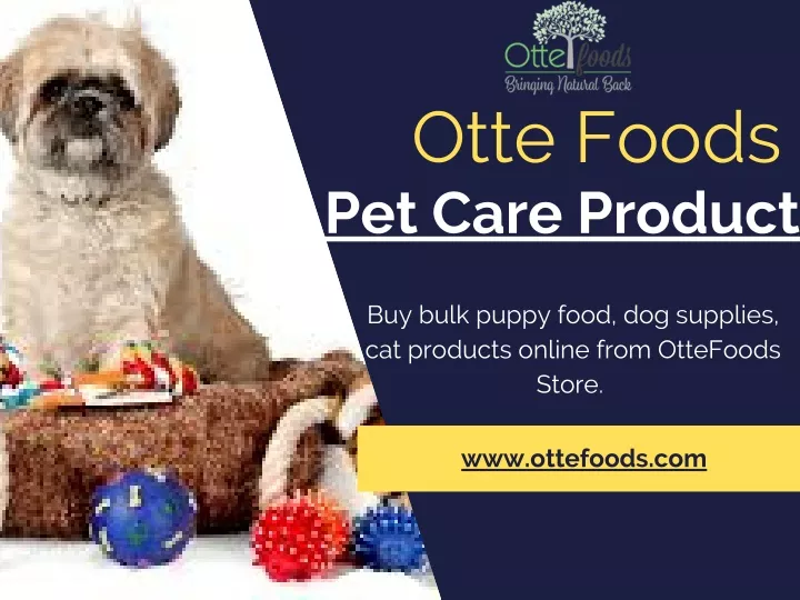 otte foods pet care product