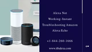 Is your Alexa Not Working?