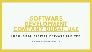 Software Development Company in UAE