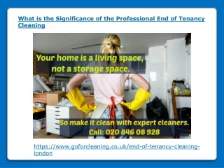 what is the significance of the professional