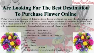 Are Looking For The Best Destination To Purchase Flower Online