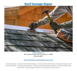 roof damage repair