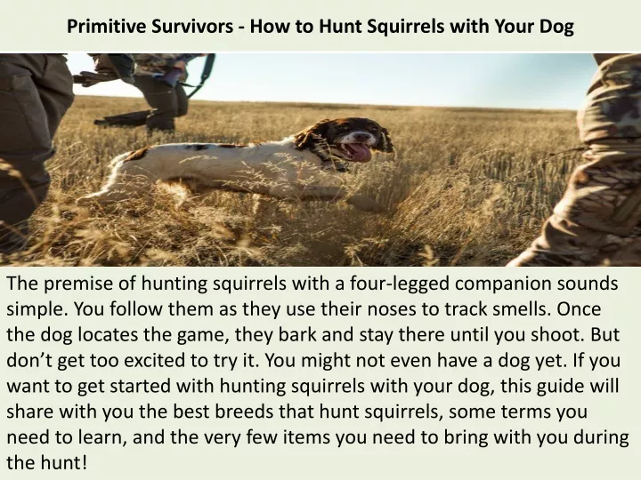 primitive survivors how to hunt squirrels with your dog