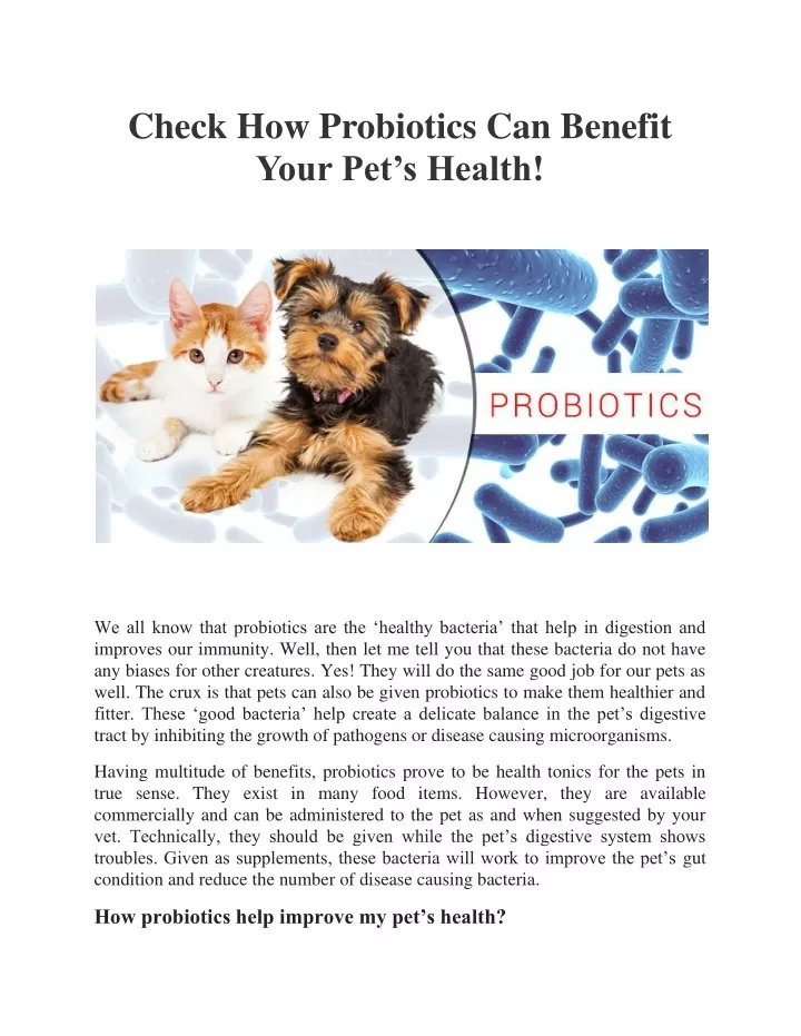 check how probiotics can benefit your pet s health