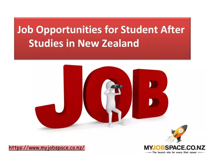 job opportunities for s tudent after studies in new zealand