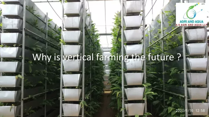 why is vertical farming the future