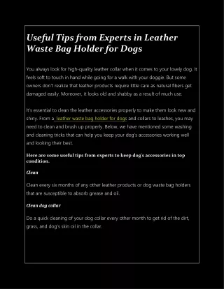 Useful Tips from Experts in Leather Waste Bag Holder for Dogs