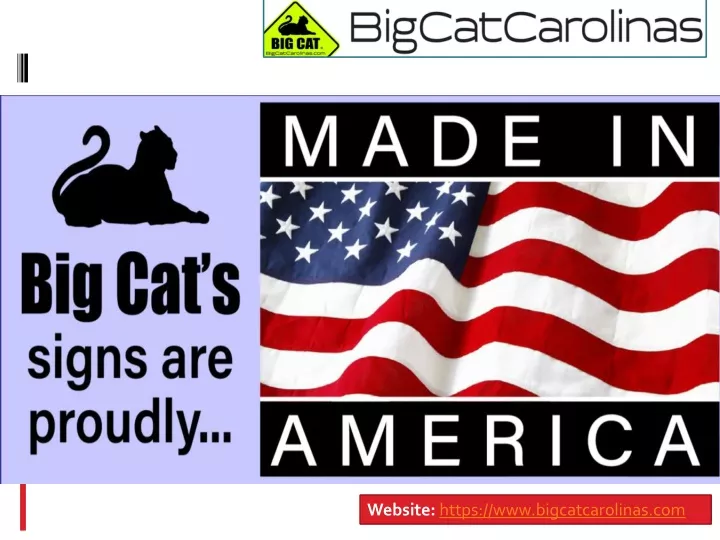 website https www bigcatcarolinas com