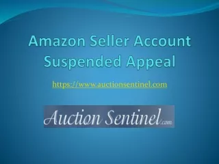 Amazon Seller Account Suspended Appeal