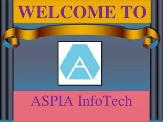 ASPIA Infotech - World's Best Security Services Provider