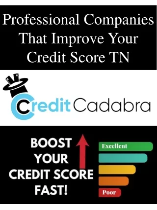Professional Companies That Improve Your Credit Score TN