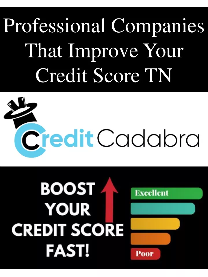 professional companies that improve your credit score tn
