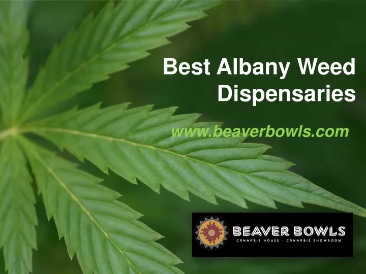 best albany weed dispensaries