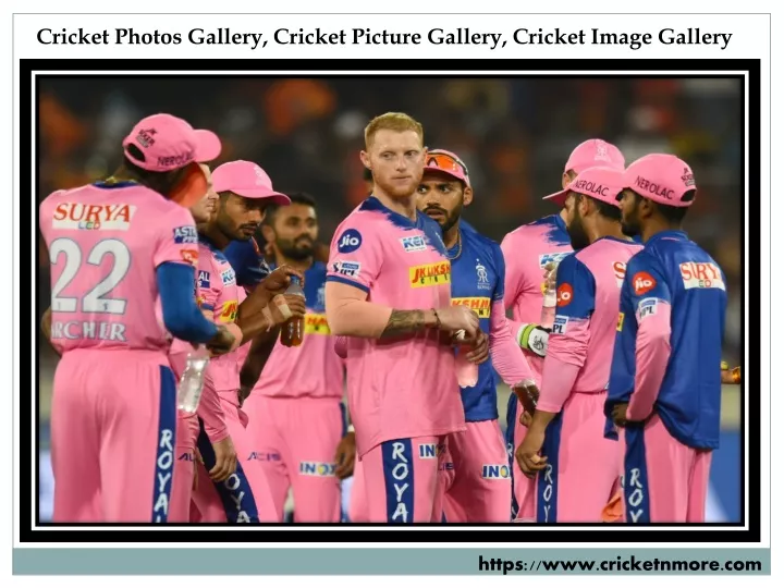 cricket photos gallery cricket picture gallery