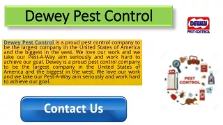 dewey pest control
